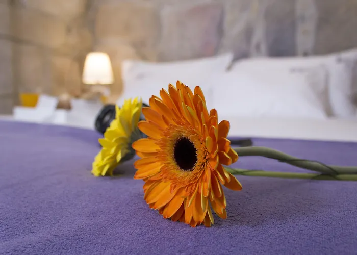 Apartmán Authentic Porto