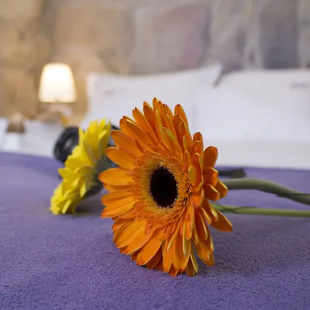 Lägenhet Authentic Oporto